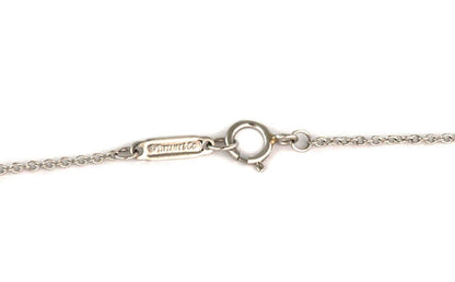 Tiffany & Co. Enchant Diamond Platinum Heart Pendant Necklace